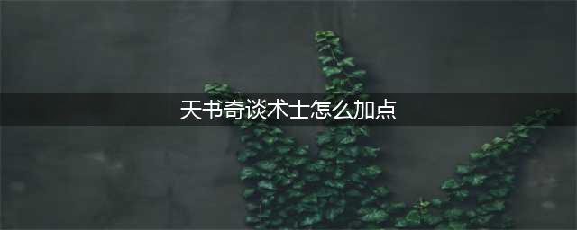 天书奇谈术士怎么加点 术士加点选择推荐(天书奇谈术士怎么加点)