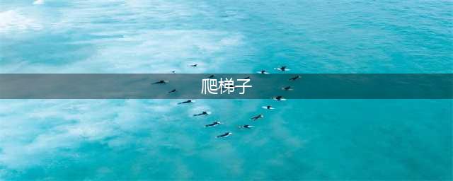 荒野大镖客2如何爬梯子 爬梯子方法介绍