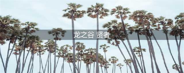 《龙之谷2》贤者怎么加点 贤者加点攻略(龙之谷 贤者)