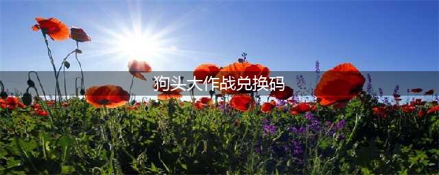 狗头大作战兑换码有哪些2022-2022最新兑换码一览(狗头大作战兑换码)