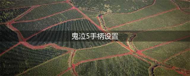 《鬼泣5》手柄按键怎么设置 手柄操作按键设置一览