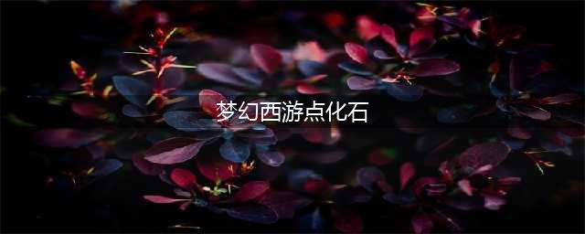 《梦幻西游》点化石怎么获取 点化石获取方法(梦幻西游点化石)