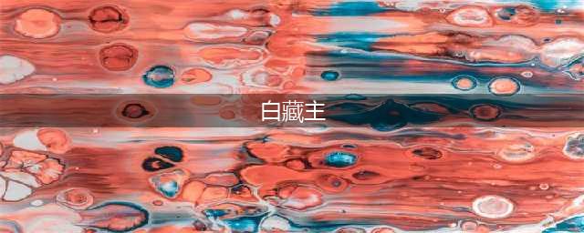 阴阳师新SSR式神白藏主背景故事一览(白藏主)