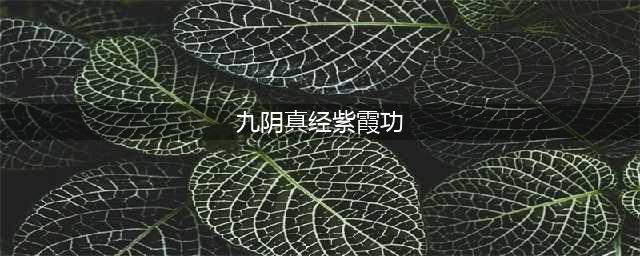 九阴手游紫霞功厉害吗 紫霞功玩法辅助攻略