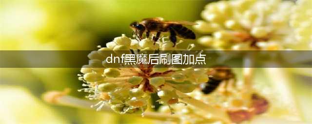 《DNF》100级混沌魔灵技能如何加点 100级混沌魔灵加点推荐(dnf黑魔后刷图加点)