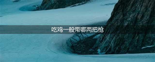 吃鸡一般带哪两把枪