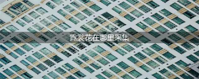 原神霓裳花在哪采集 霓裳花采集位置一览