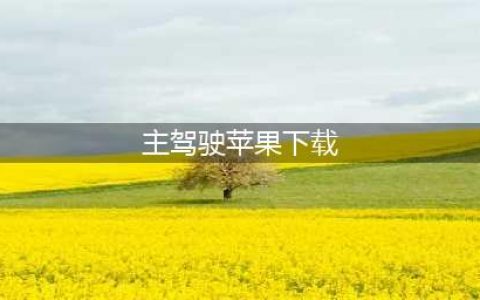 主驾驶正版下载安装2022 主驾驶正版下载链接(主驾驶苹果下载)