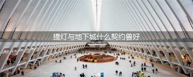 《提灯与地下城》契约兽如何选 最强契约兽选择介绍(提灯与地下城什么契约兽好)
