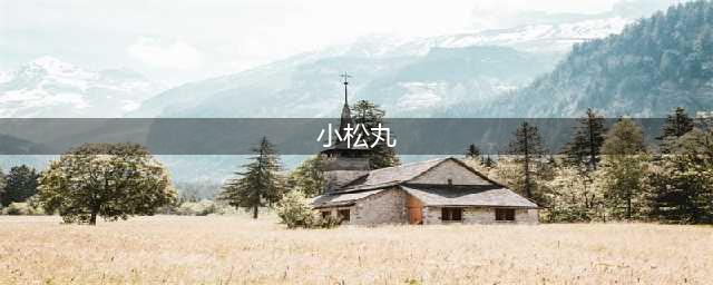 阴阳师百闻牌小松丸卡组怎么搭配 小松丸卡组搭配推荐(小松丸)