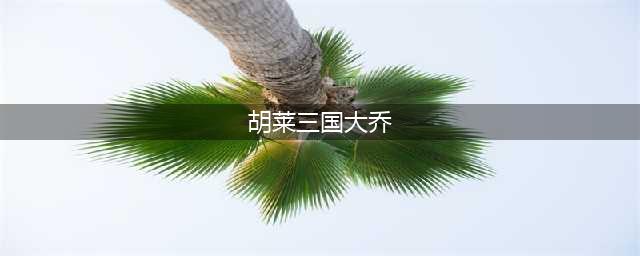 胡莱三国3二乔技能介绍 大乔小乔武将技能一览