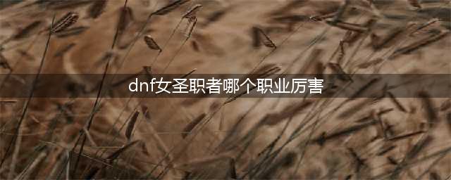 dnf女圣职者四职业排行一览 dnf女圣职者哪个职业强(dnf女圣职者哪个职业厉害)