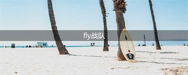 《LOL》S10全球总决赛FLY战队成员名单 FLY战队参赛人员介绍(fly战队)