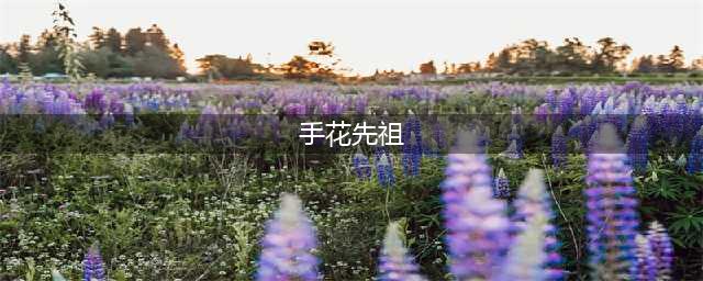 《光遇》手花先祖位置介绍(手花先祖)