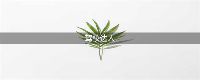 模拟练车游戏排行榜前十名2022 带有练车系统的游戏推荐都有哪些(驾校达人)