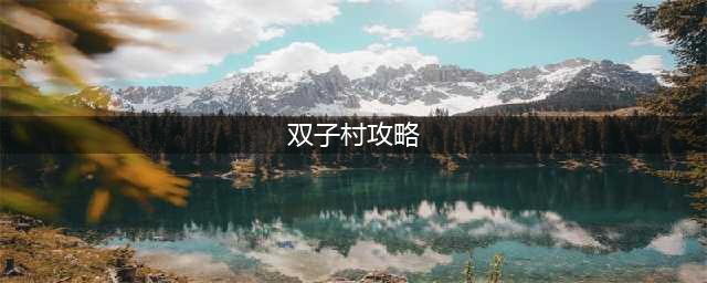 《牧场物语》双子村怎么玩 双子村全攻略(双子村攻略)