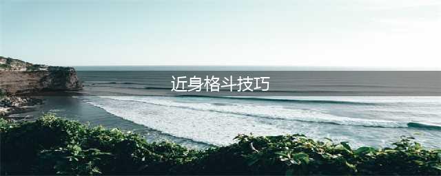 荒野大镖客2近身格斗技巧
