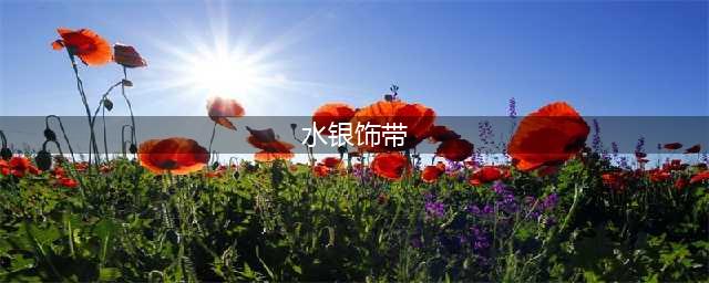 《LOL》水银是什么装备 水银装备介绍(水银饰带)