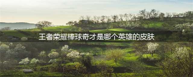 王者荣耀沈梦溪棒球奇才皮肤如何获得 沈梦溪棒球奇才皮肤获得方法介绍