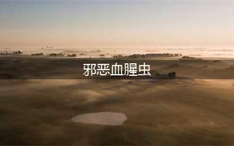 《邪恶血腥虫》下载 正版下载地址(邪恶血腥虫)