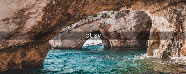 3D坦克争霸-增援前线计划(bt sv)