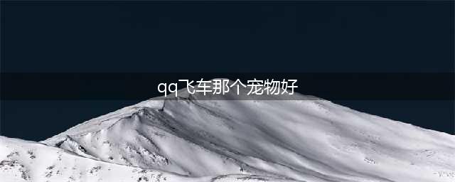 《QQ飞车》手游哪个宠物最厉害 最强宠物排行榜一览(qq飞车那个宠物好)