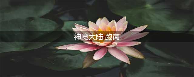 新神魔大陆跑商怎么玩 跑商玩法攻略一览