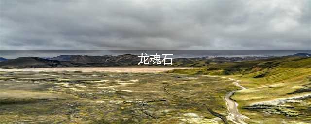 《全民养恐龙》龙魂石怎么用 龙魂石使用方法介绍(龙魂石)