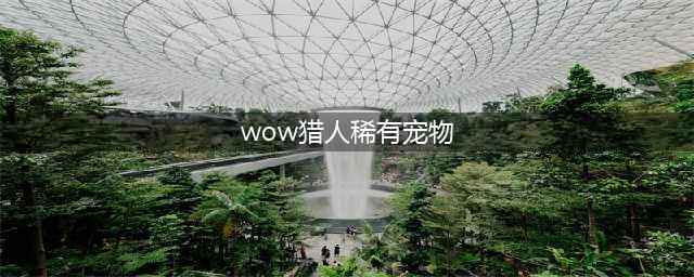 《魔兽世界》猎人稀有宠物选择推荐与刷新坐标(wow猎人稀有宠物)
