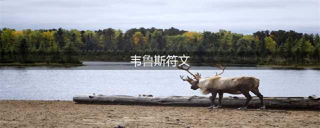 LOL2023韦鲁斯符文怎么点