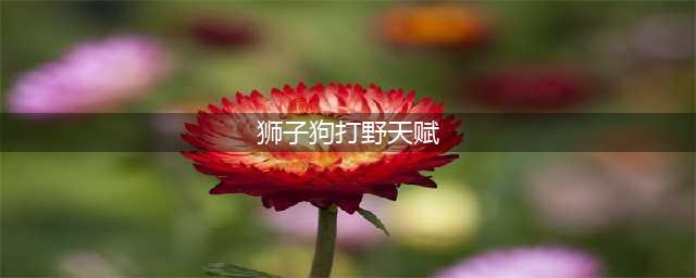 《英雄联盟》狮子狗s13打野怎么出装 狮子狗s13打野出装推荐