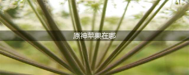 《原神》苹果在哪里收集 苹果收集点位