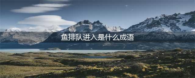 鱼排队进入打一成语答案是什么？(鱼排队进入是什么成语)