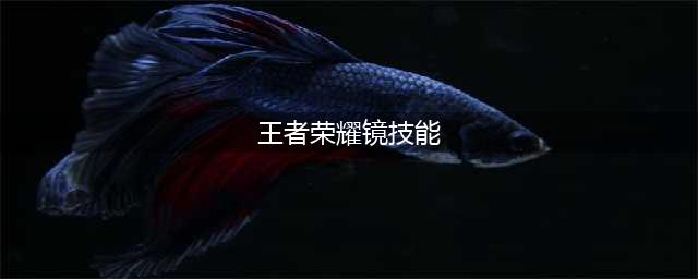 《王者荣耀》破镜之刃·镜的技能介绍