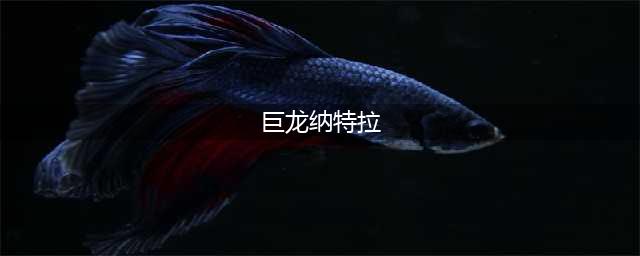 《dnf》巨龙纳特拉的卡片怎么获得 巨龙纳特拉的卡片获取方法