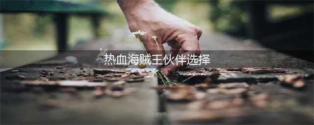 《航海王热血航线》伙伴怎么选 强势伙伴选择攻略(热血海贼王伙伴选择)
