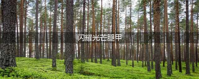 《魔兽怀旧服》闪耀光芒腿甲怎么获得 闪耀光芒腿甲获得方法(闪耀光芒腿甲)