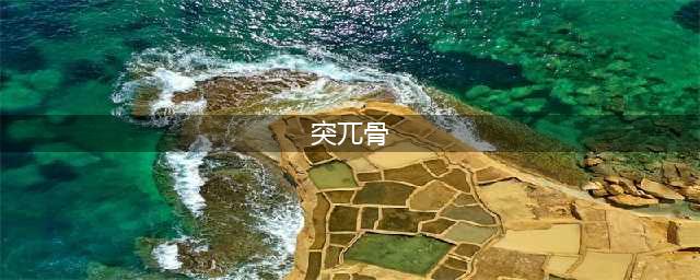 《三国志战略版》兀突骨怎么样 兀突骨属性介绍(突兀骨)