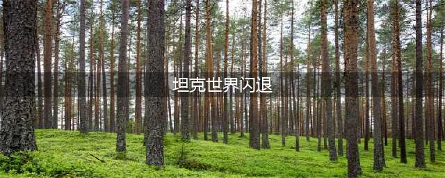 坦克世界闪击战黑屏闪退怎么办 黑屏闪退解决方法