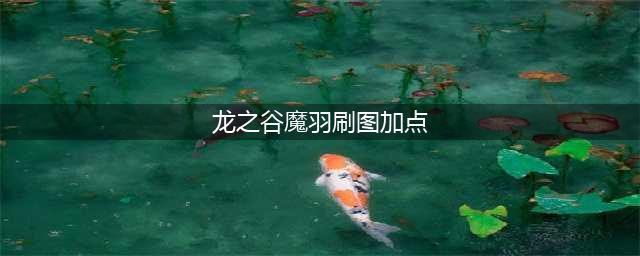 《龙之谷手游》魔羽怎么加点 魔羽技能加点推荐(龙之谷魔羽刷图加点)