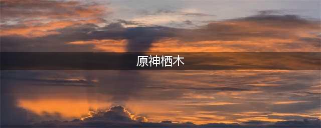 原神供奉栖木三个位置攻略