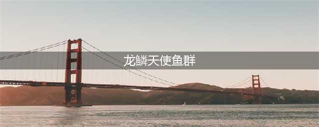 魔兽世界怀旧服WLK全鱼类分布位置一览