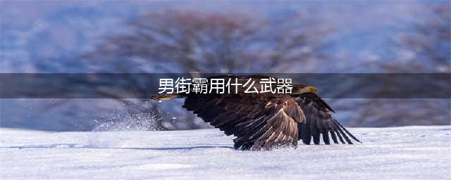 《DNF》男街霸武器遴选属性哪个好 男街霸武器遴选属性推荐(男街霸用什么武器)