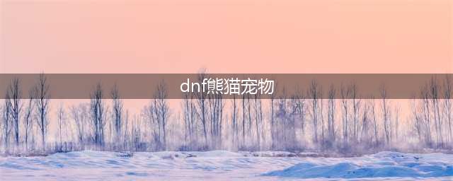 DNF吉祥熊猫宠物属性 红蓝吉祥熊猫外观一览(dnf熊猫宠物)