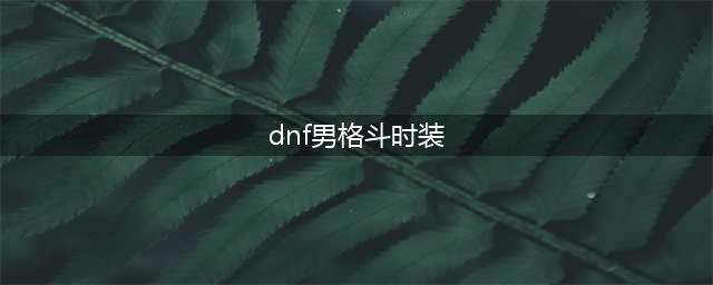 DNF希尔斯精品店第二周男格斗单件时装选择推荐