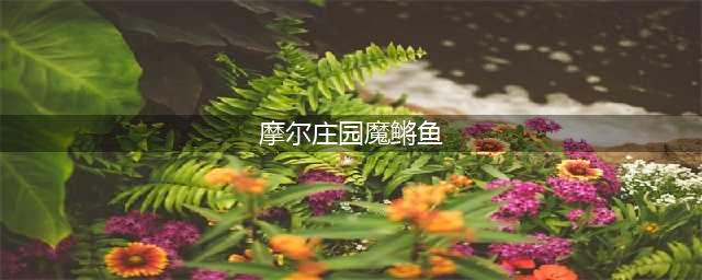摩尔庄园魔鳉鱼在哪里钓