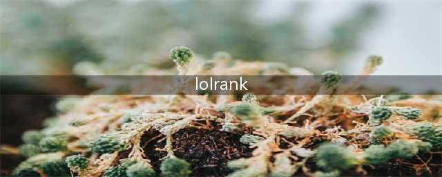 《LOL》什么是rank 游戏rank含义解答(lolrank)