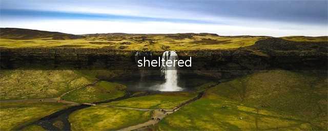 庇护所Sheltered好玩吗 庇护所Sheltered玩法简介(sheltered)