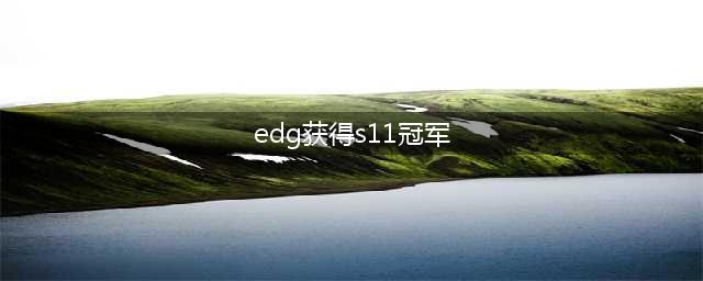 《英雄联盟》S11edg夺冠奖励 EDG夺冠奖金介绍(edg获得s11冠军)