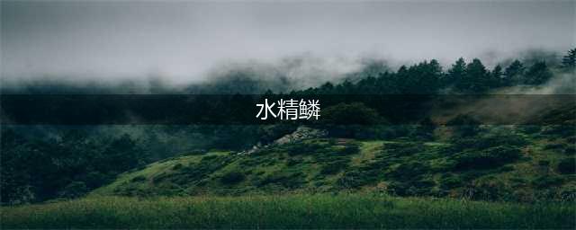 游戏王决斗链接水精鳞体系强度分析(水精鳞)